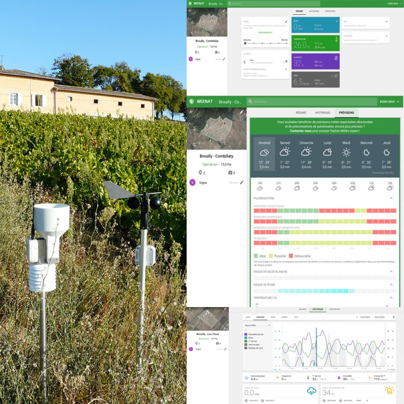 Les vignes sous surveillance