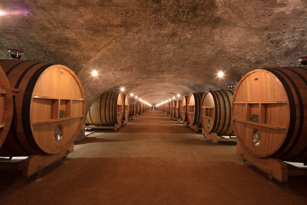 La plus longue cave du Beaujolais avec ses 108 mètres de long ©Thibaut de Rohan La plus longue cave du Beaujolais avec ses 108 mètres de long ©Thibaut de Rohan