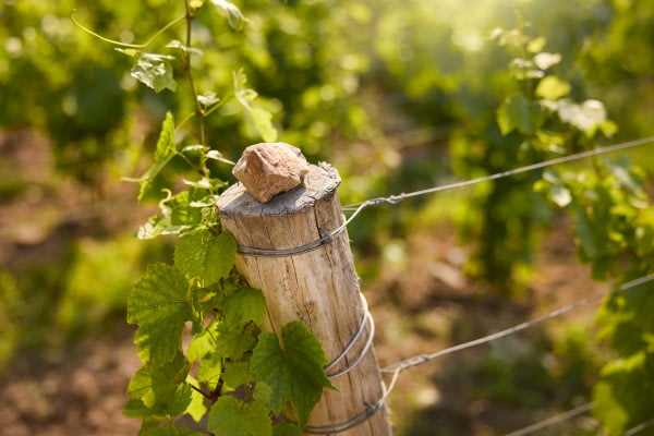 Le granite rose, à l'origine des grands terroirs de Brouilly et Fleurie ©Serge Chapuis Le granite rose, à l'origine des grands terroirs de Brouilly et Fleurie ©Serge Chapuis