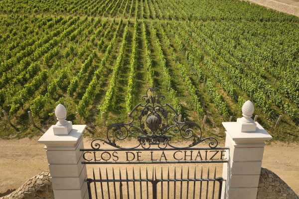Vue sur l'entrée du Clos de La Chaize ©Serge Chapuis Vue sur l'entrée du Clos de La Chaize ©Serge Chapuis